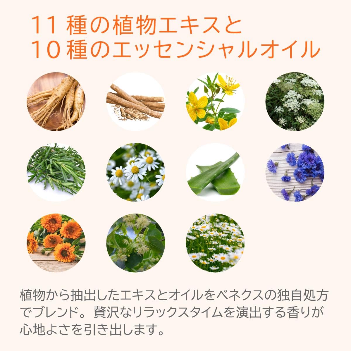 Amazon | VENEX ベネクス バイタライズゲル PHT配合 ボディマッサージ