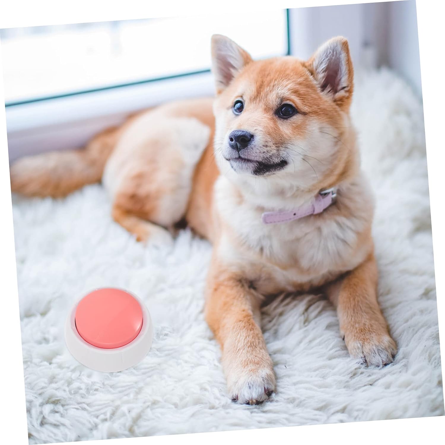 Toyvian Dog Recordable Talking Button for PET Training Communication Button Voice Recording Feature Interactive Dog Training Tool