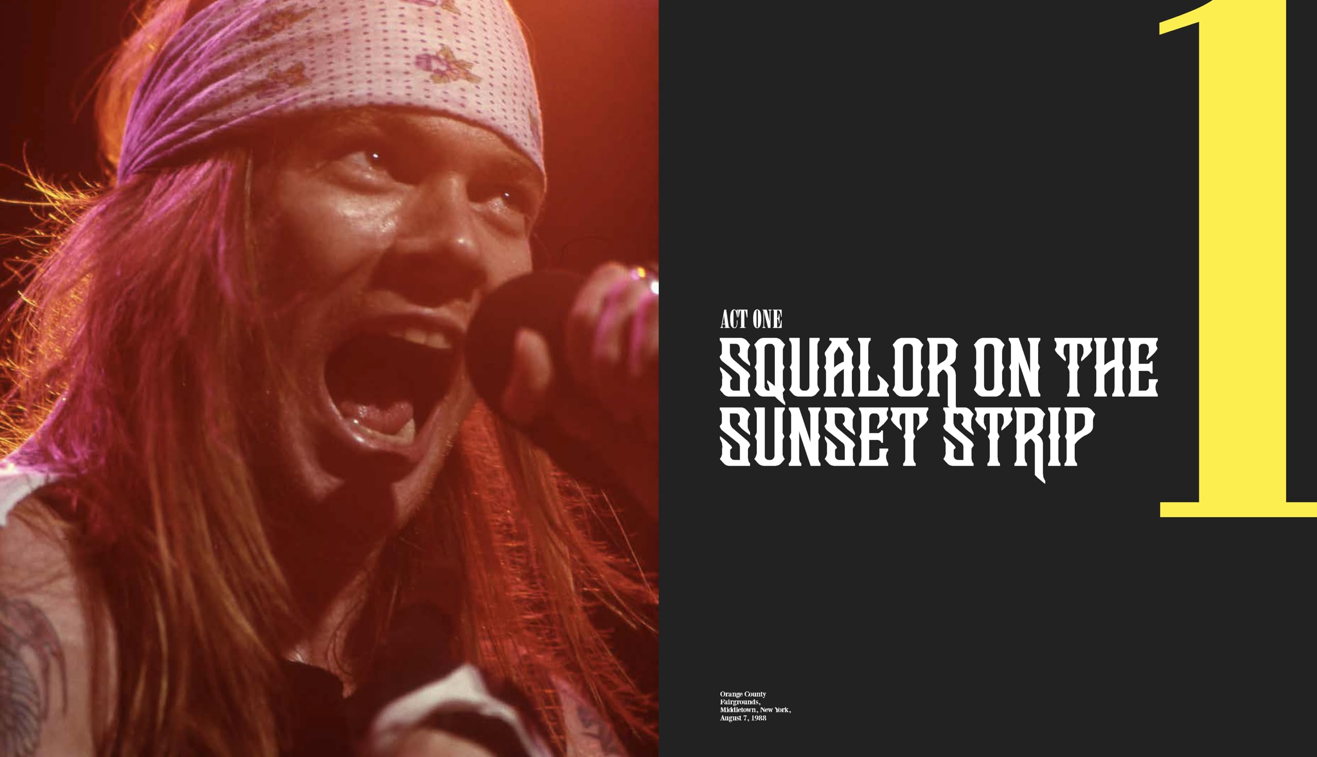 Guns N' Roses at 40