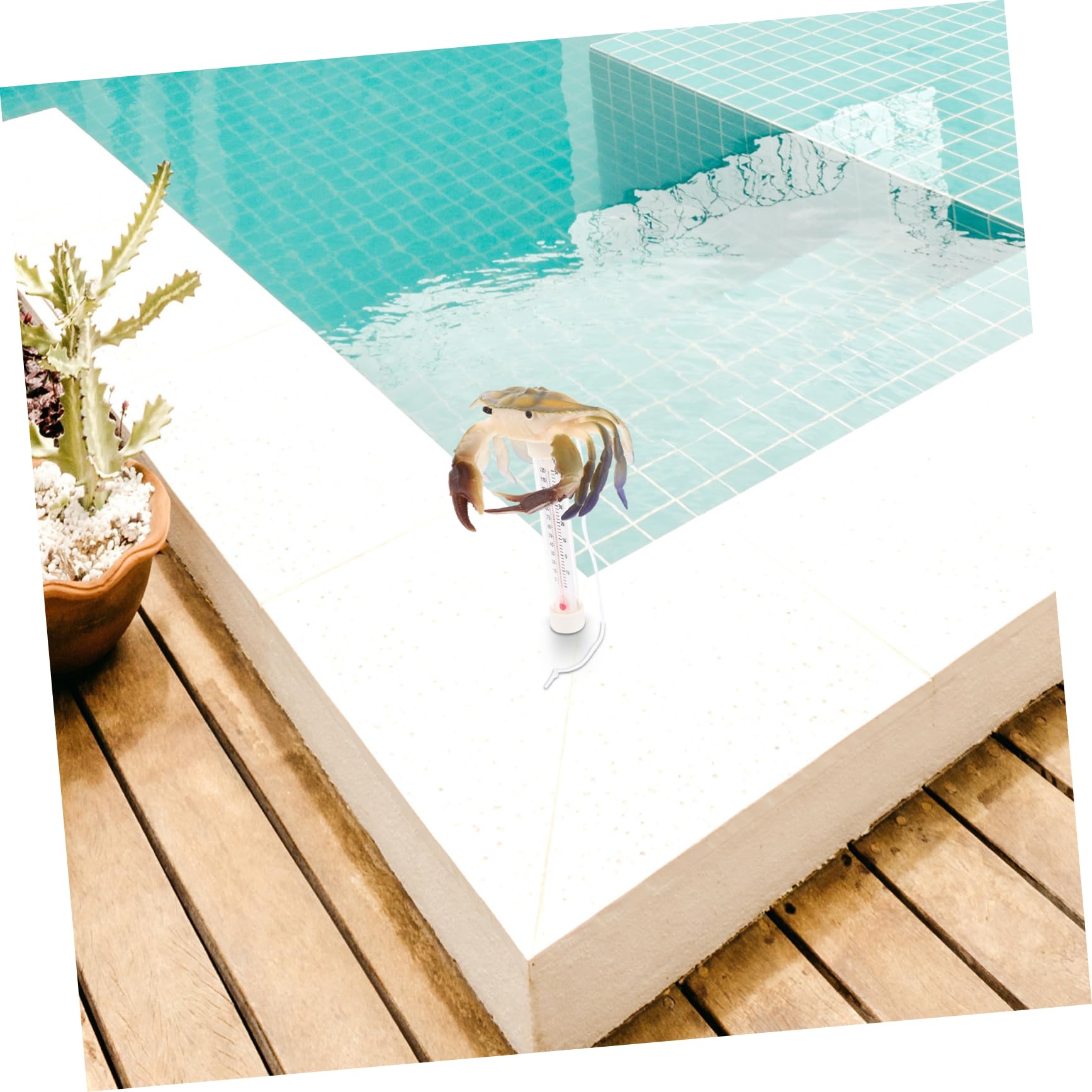 PRETYZOOM 4 Stück Schwimmbad-thermometer Poolthermometer Für Den Sommer Schwimmendes Poolthermometer Schwimmbadstütze Party-schwimmthermometer Sommer Badewannenthermometer Plastik