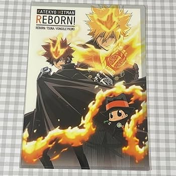 家庭教師ヒットマンREBORN! 沢田綱吉 プリーモ リボアニ アニメモバイル Amazon.co.jp: 家庭教師ヒットマンREBORN 沢田綱吉 プリーモ
