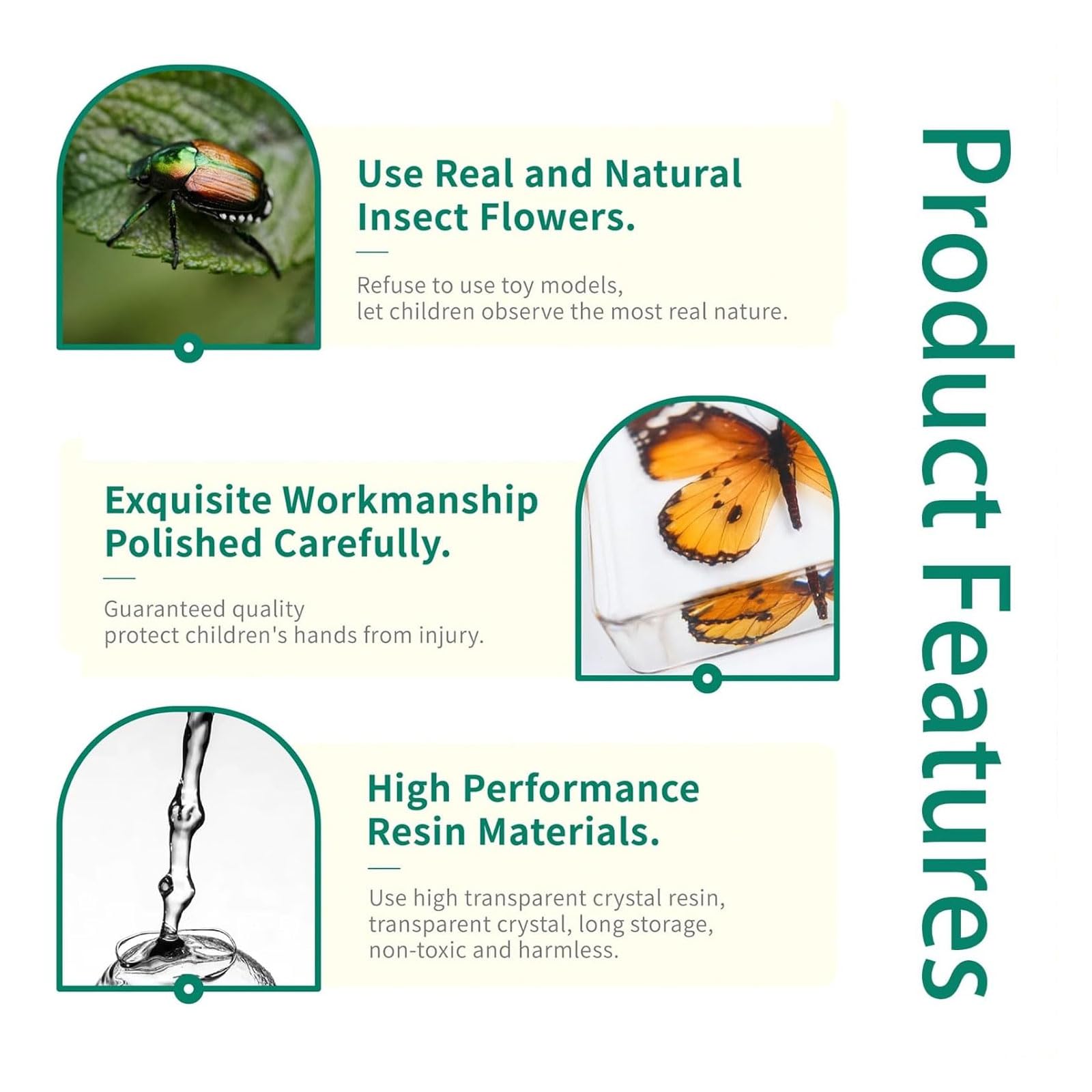Esempi Insetti Reali Insetti In Resina Animali Esemplare Fermacarte Per Appassionati Di Biologia Collezione Insegnamento-ALL