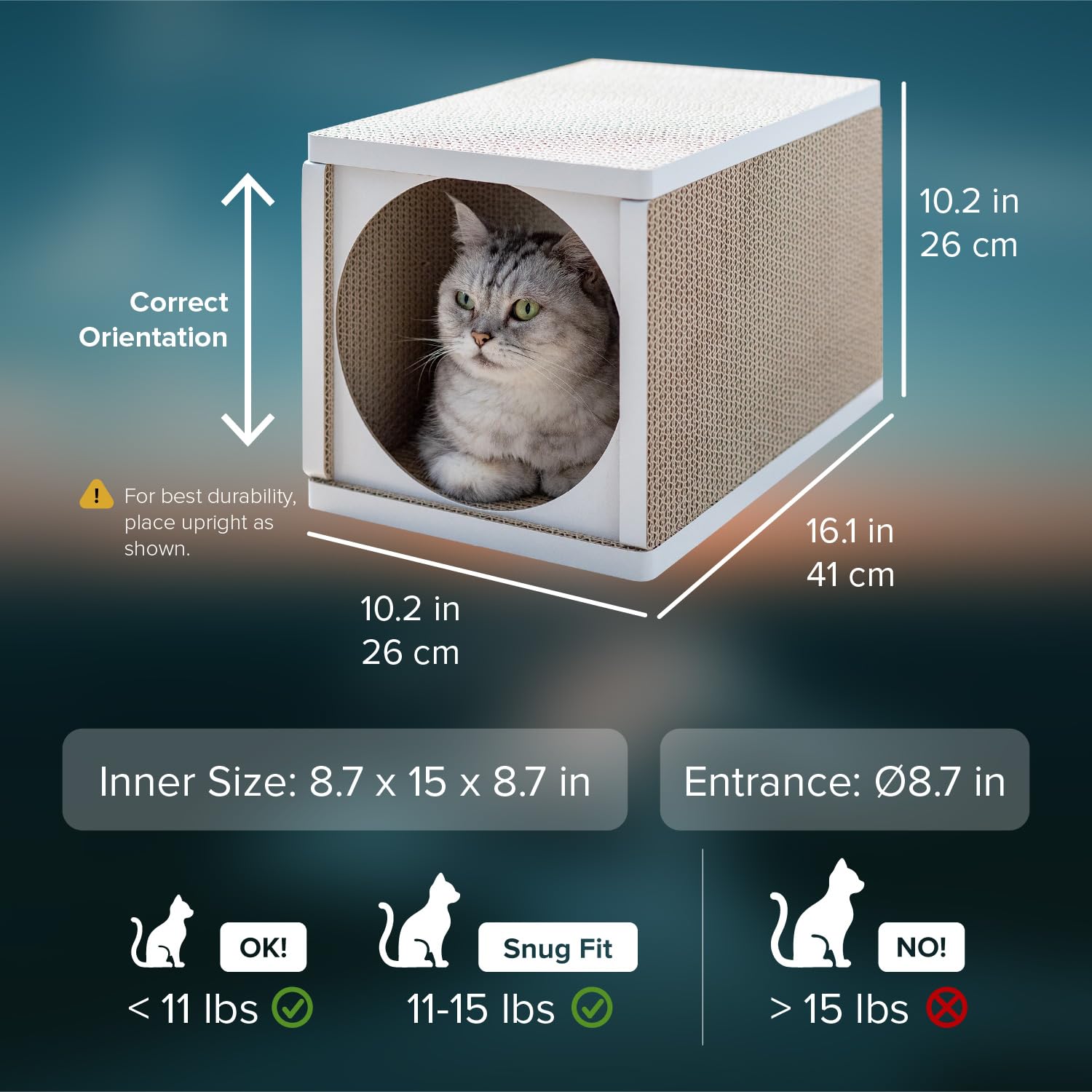 Anikitty 360° Cardboard Cat Scratcher Tunnel & House – Durable Cat Cave, Bed & Scratching Post with Catnip, Indoor Cat Condo & Hideout, White