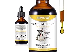Natural Yeast Infection Treatment for Dogs