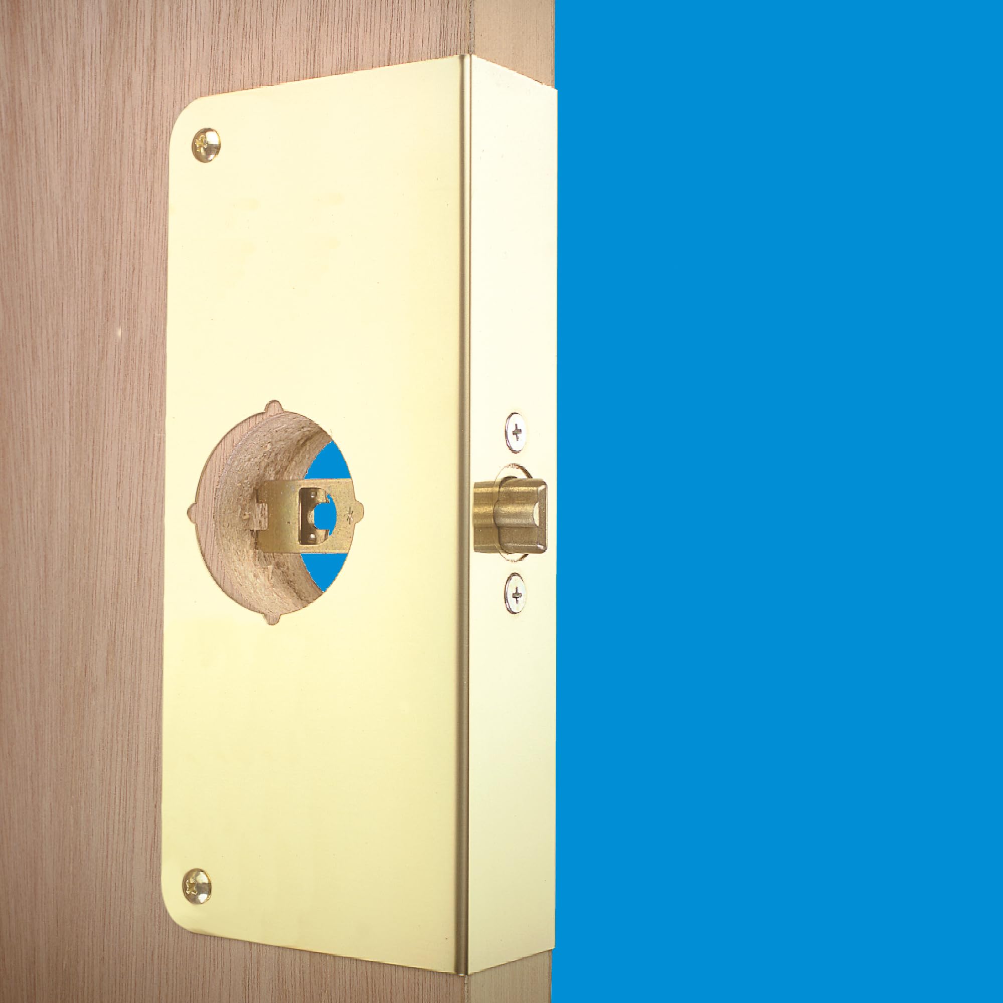 Prime-line Products U 9548 1–3/10,2 cm d'épaisseur par 2–3/20,3 cm Distance au canon 2–1/20,3 cm Alésage saillie ou encastré Porte rêne Forcer, Laiton
