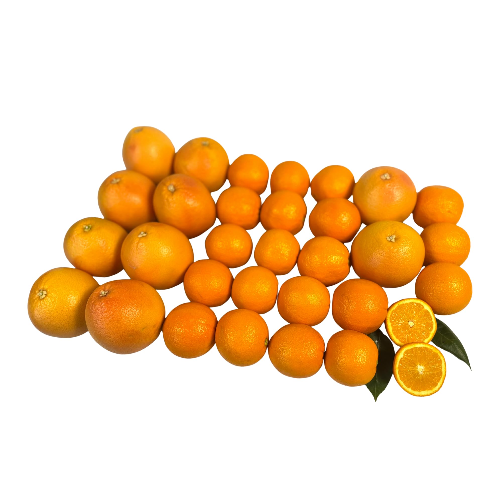 Capital City Fruit Gourmet Fresh Fruit Gift Box | Gift for Holiday, Thank You, Get Well | Sympathy Gift Box | Sweet and Fresh | Healthy Snack | 30 Piece Mixed Citrus