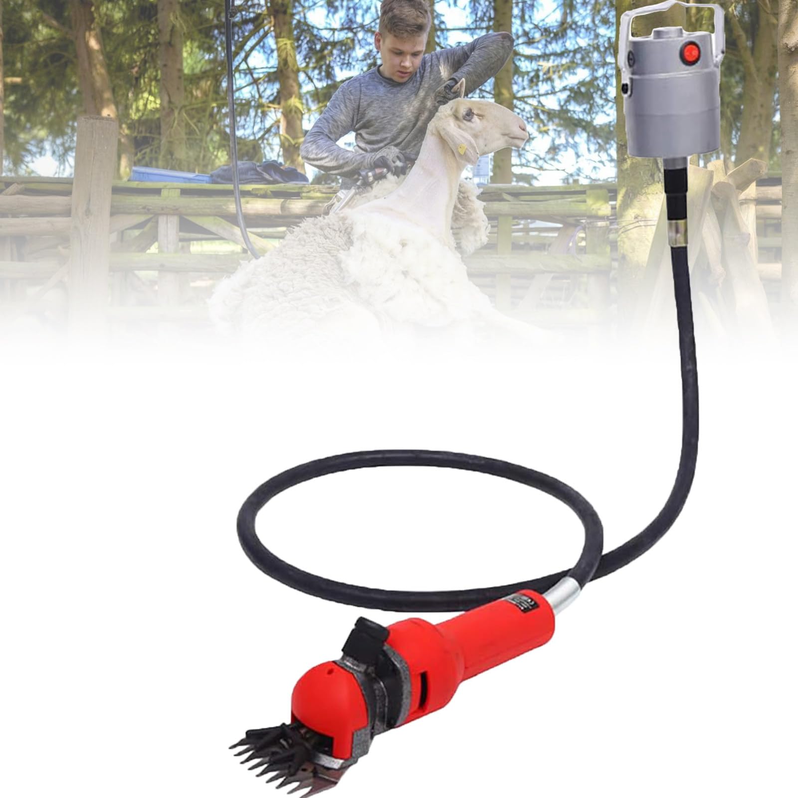 Tosapecore Professionale per Pecore 4 Lame in Acciaio Premium Design Innovativo del Motore Sospeso Tosatrice Leggera ed Ergonomica per un Taglio della Lana una Toelettatura del Bestiame Senza Sforzo