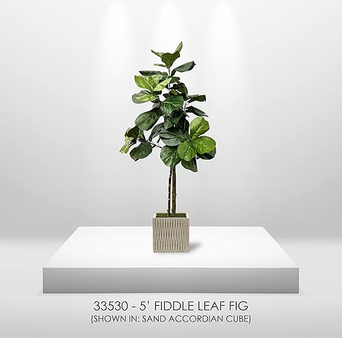 Miniatura 8 de Árbol de higo artificial de hoja de violín de 5 pies, planta artificial, hecho a mano por ciprés y alabastro con troncos de madera real