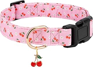 Personalized Dog Collars,Adjustable Puppy Collars with Safety Buckle for Small Medium Large Dogs,Cute and