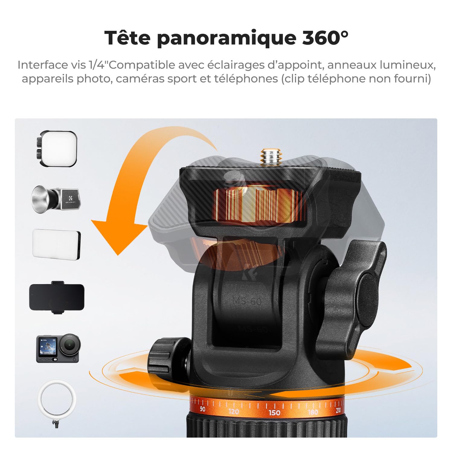 K&F CONCEPT Trépied d'Éclairage 199cm Libération Rapide pour Studio