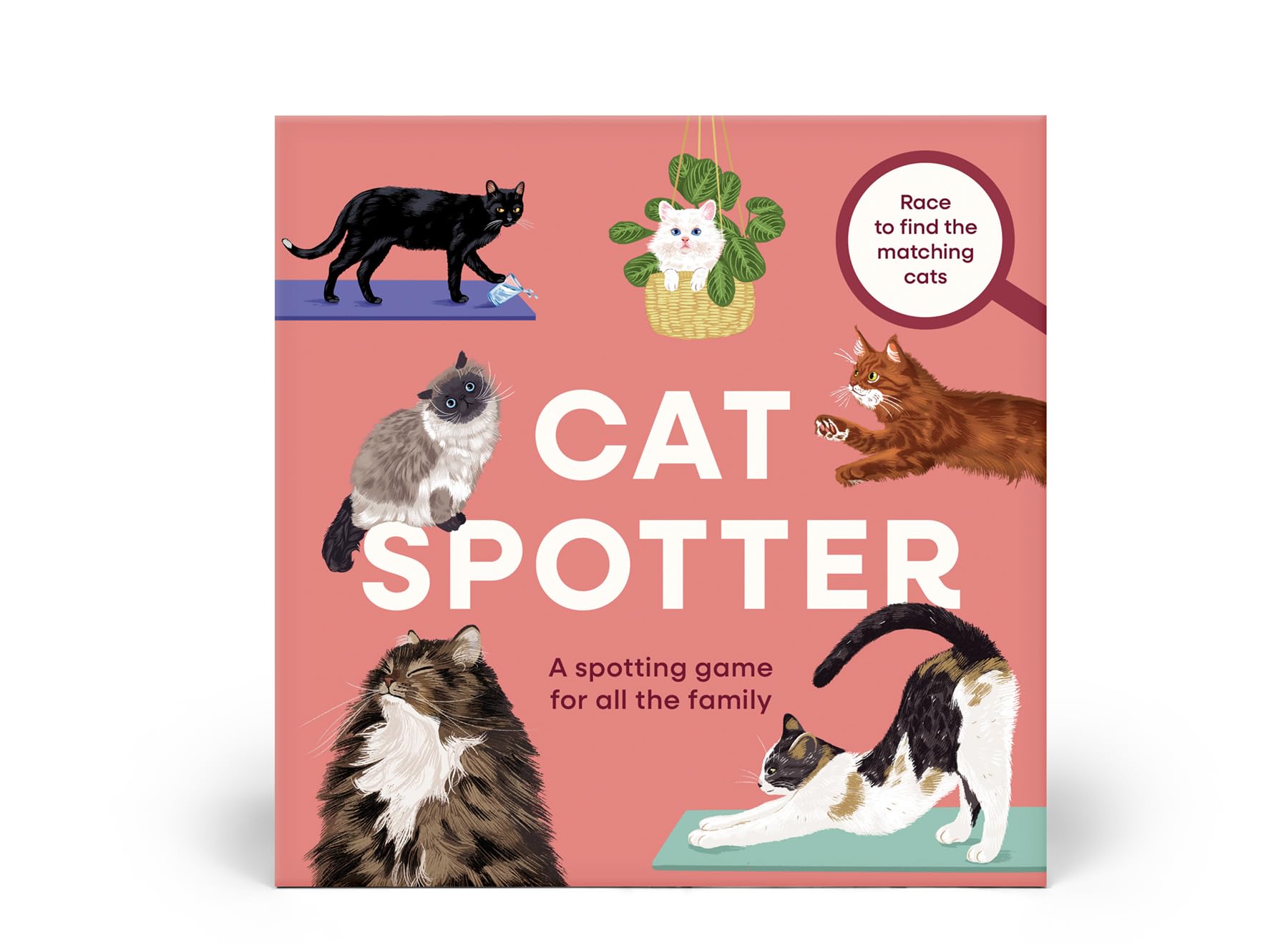 Cat Spotter 9781805701101