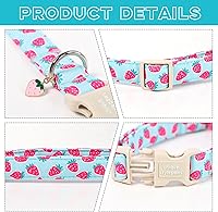 Vista 269 de Unique Style Paws - Collar rosa con hebilla de metal, duradero y lindo para perros pequeños a grandes