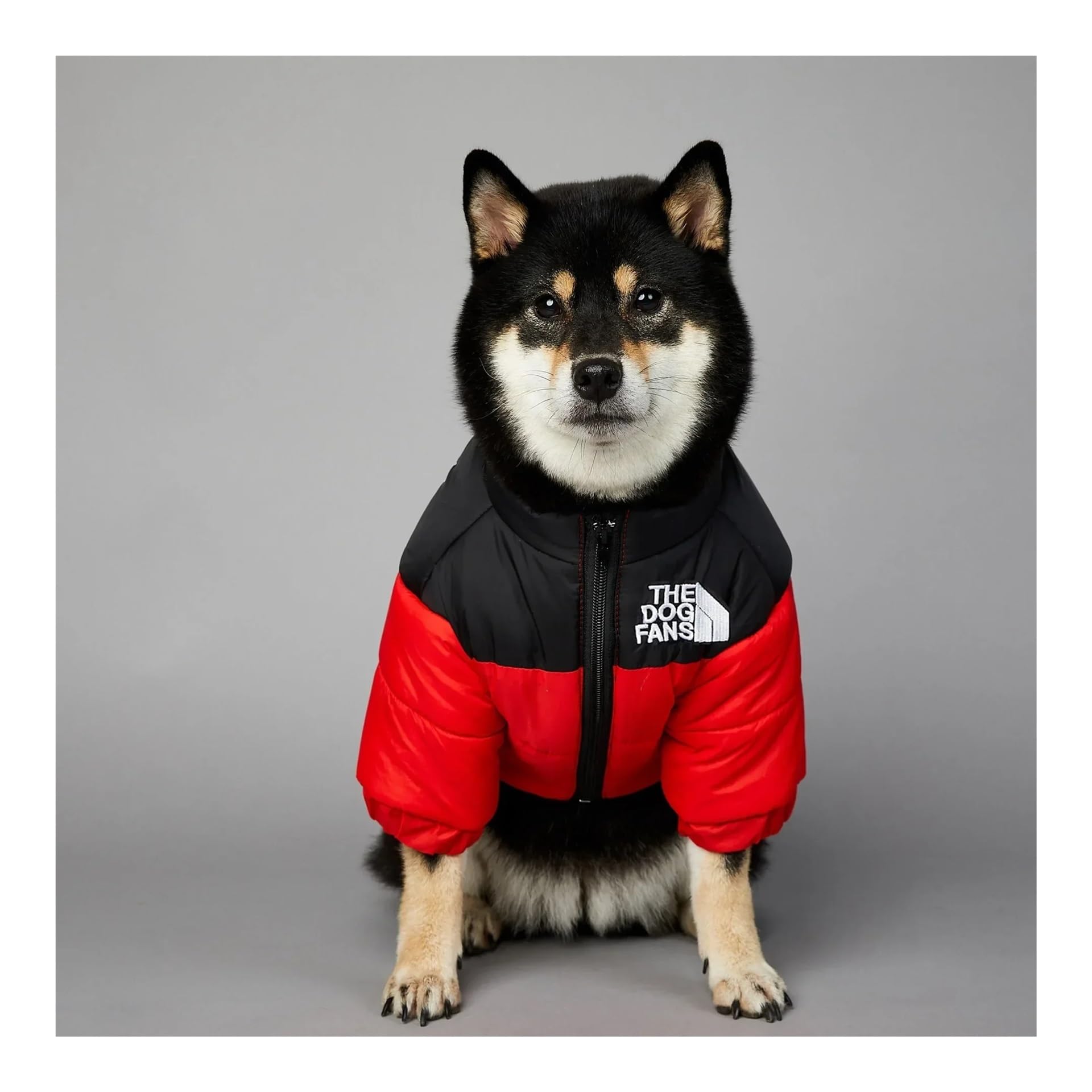 The Dog Fans Winter-Daunenjacke for kleine und mittelgroße Hunde, warme, Dicke Weste, Mantel for Welpen der französischen Bulldogge(Red,M)