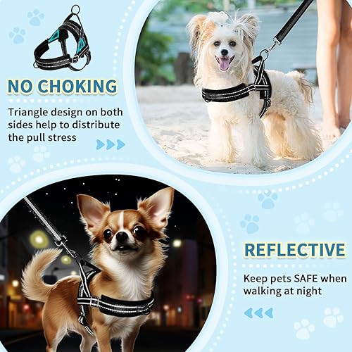 Miniatura 3 de SlowTon Juego de arnés y correa para perro pequeño sin tirones, arnés de chaleco suave ajustable para cuello y pecho, arnés ligero reflectante y