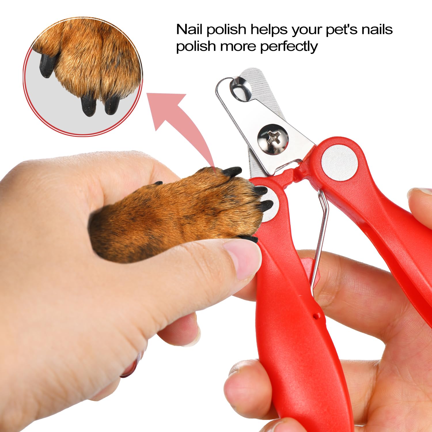 Safety Guard What's The Best Dog Nail Clippers Led Nail