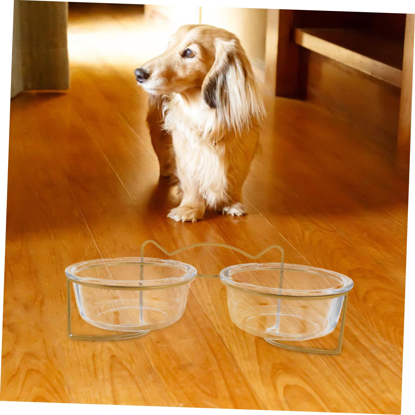 Toyvian Gamelle Double en Verre Inclinée pour Animaux de Compagnie, Bol Surélevé Facile à Laver Support Créatif en Métal, Adapté pour Chats et Chiens