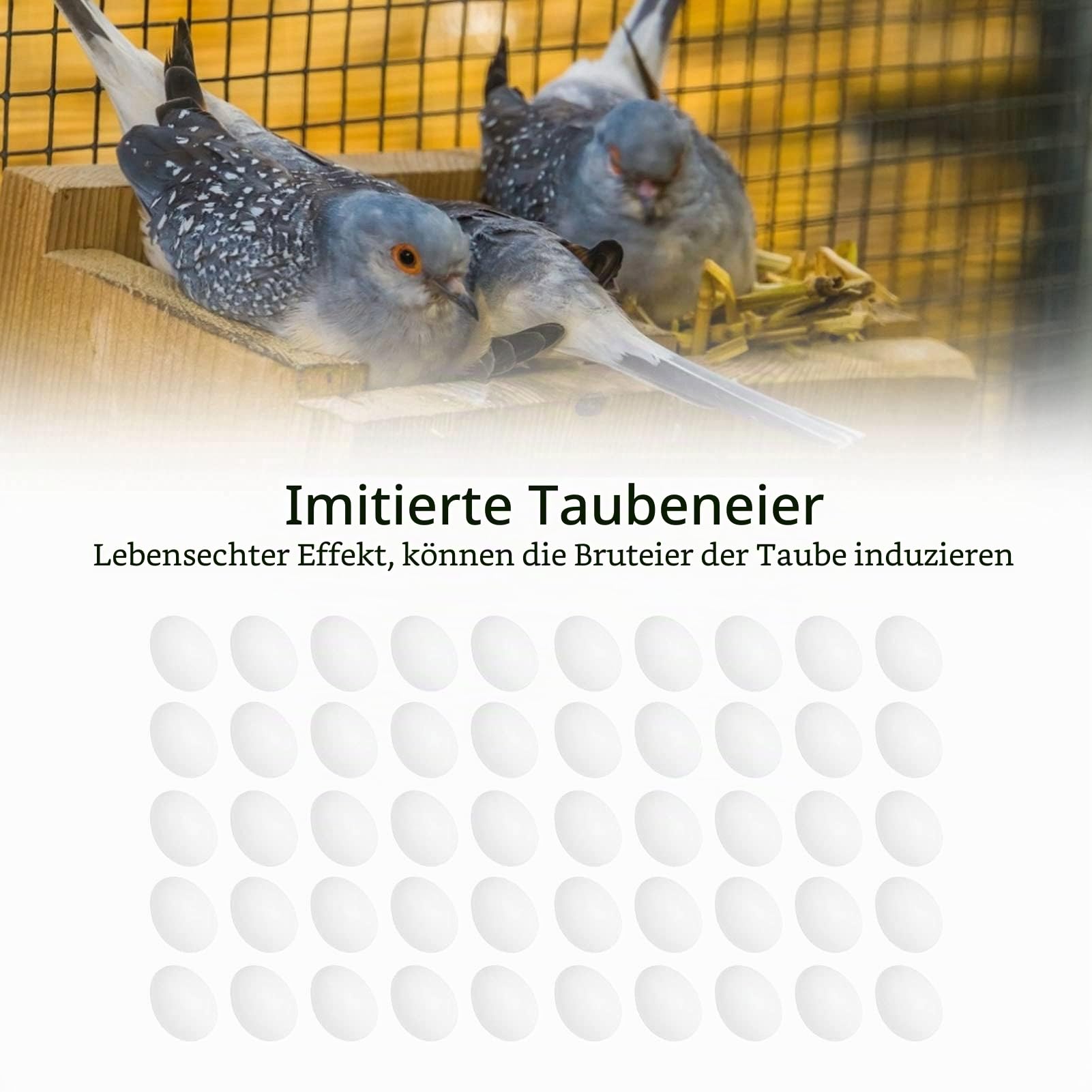 50 Stück Taubeneier Attrappe,Gefälschte Taubeneier für Zucht Bruthilfe, Plastik Gefälschtes Taubenei, Dummy Eier für Vögel, Solides Gefälschtes Ei, Simulation Schlupfzubehör