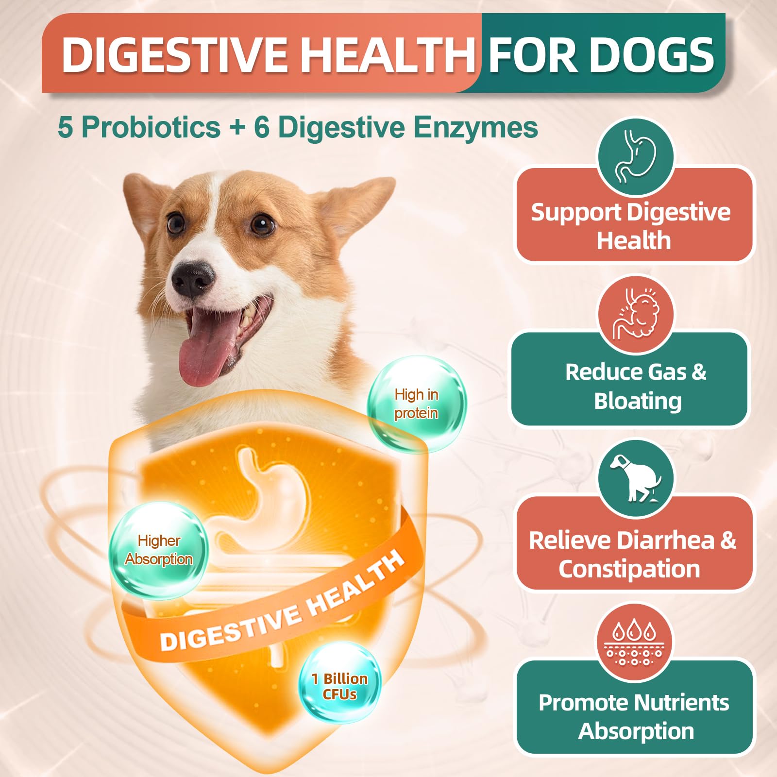 Dog Multivitamin, Dog Vitamins and Supplements, Multivitamin for Dogs with Glucosamine, Probiotics & Omega 3 for Joint, Digestive, Skin, Coat and Immune Health, Chicken Flavor - 180 Bites - image 6