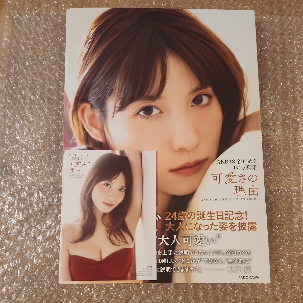 美品 谷口智則「富嶽一景」キャンバスにジクレー 直筆サイン・保証書有 立体額装 Amazon.co.jp: 直筆サイン入り写真集 AKB48 谷口めぐ 1st写真集「可愛