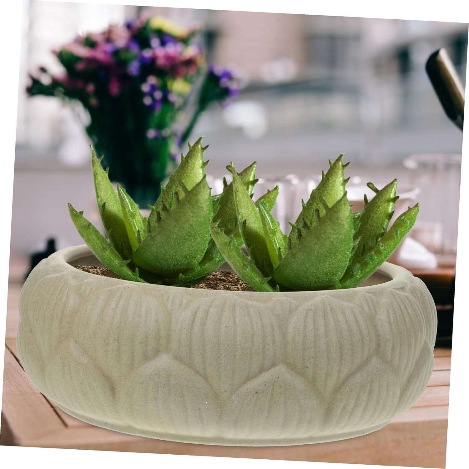 Hydroponic Planter Bowl 8.26In Round Ceramic Flower Pot for Water Lily Succulents Indoor Garden Decoration and Storage Container