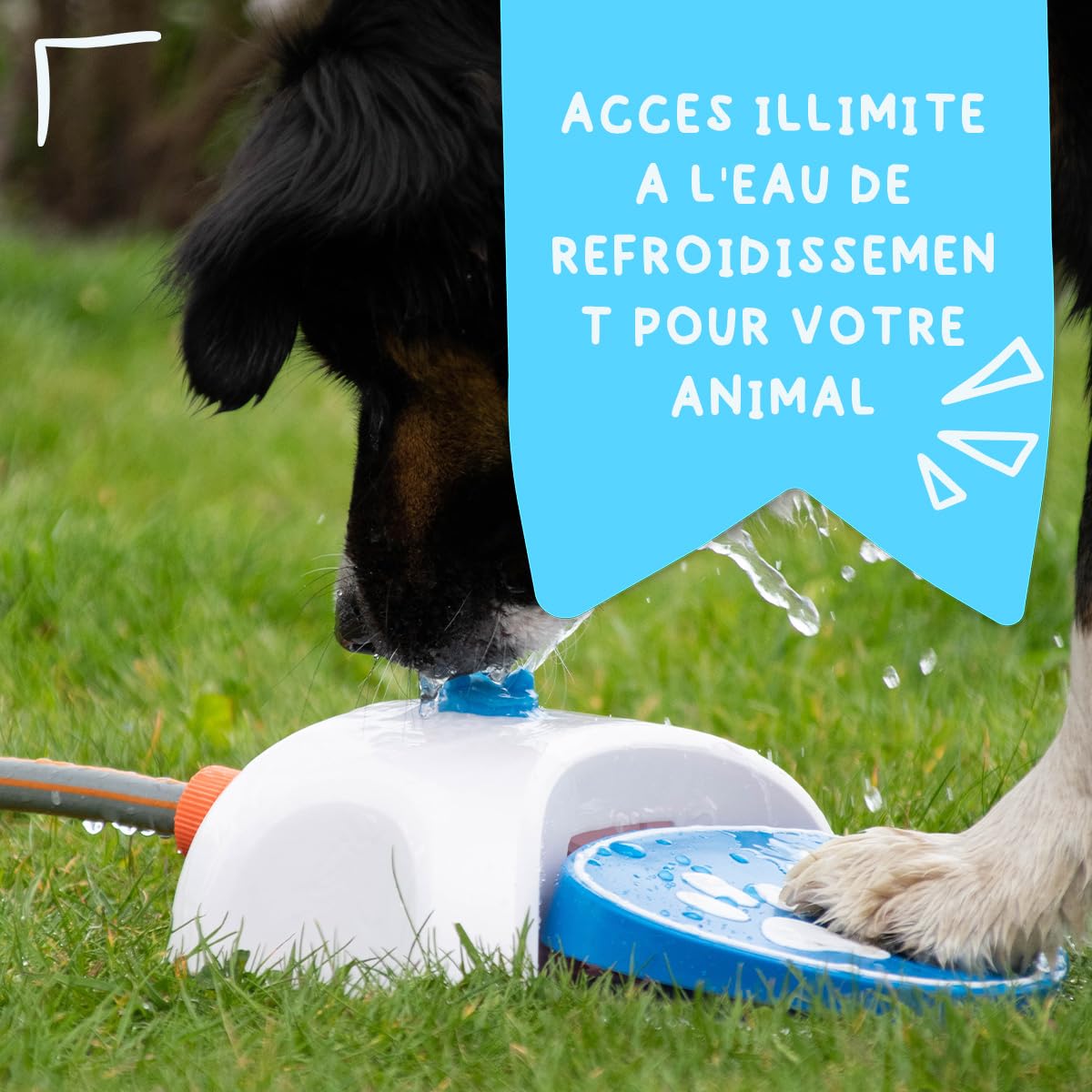 COOLPETS Splash Water Fountain