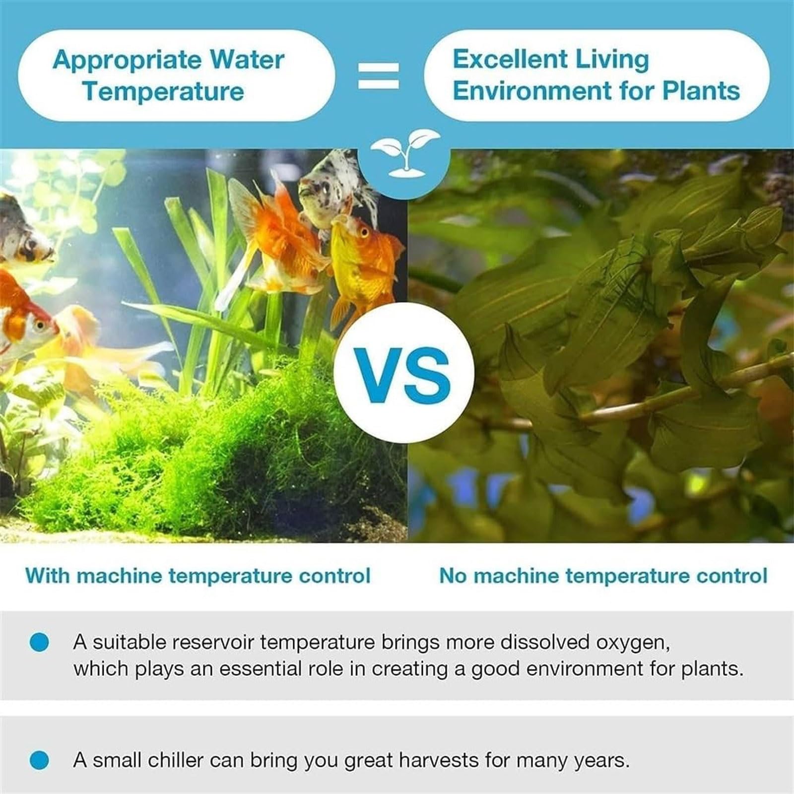 Enfriador de Agua for Acuario, máquina de enfriamiento de Agua for Tanque de Peces de 30 l con Dispositivo de Temperatura Constante de 10-40 ℃ y Kit de Bomba, diseño silencioso, for camarones de