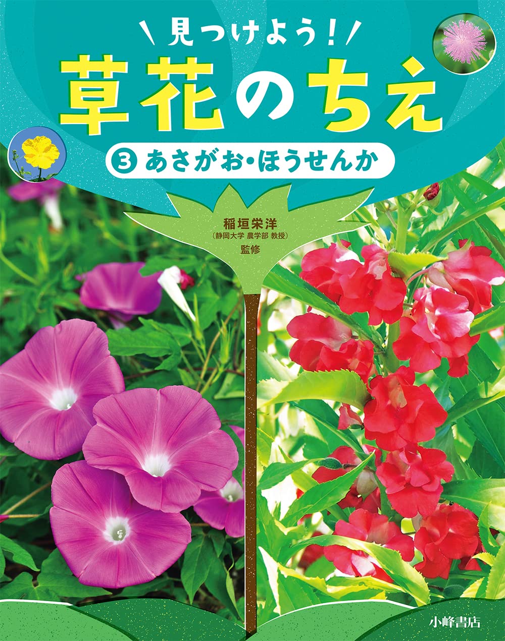 あさがお様 71wEnCEerML.jpg