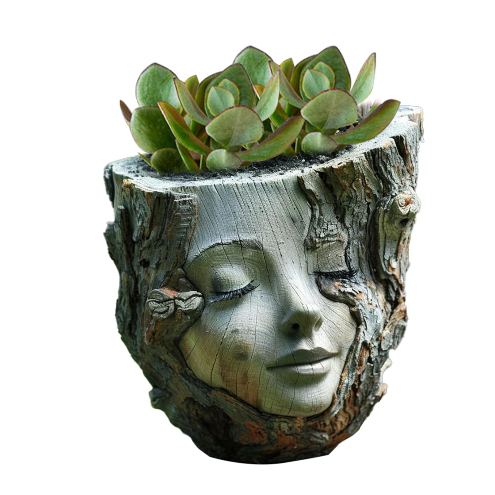 Pot de fleurs pour le visage en design statue de jardin unique