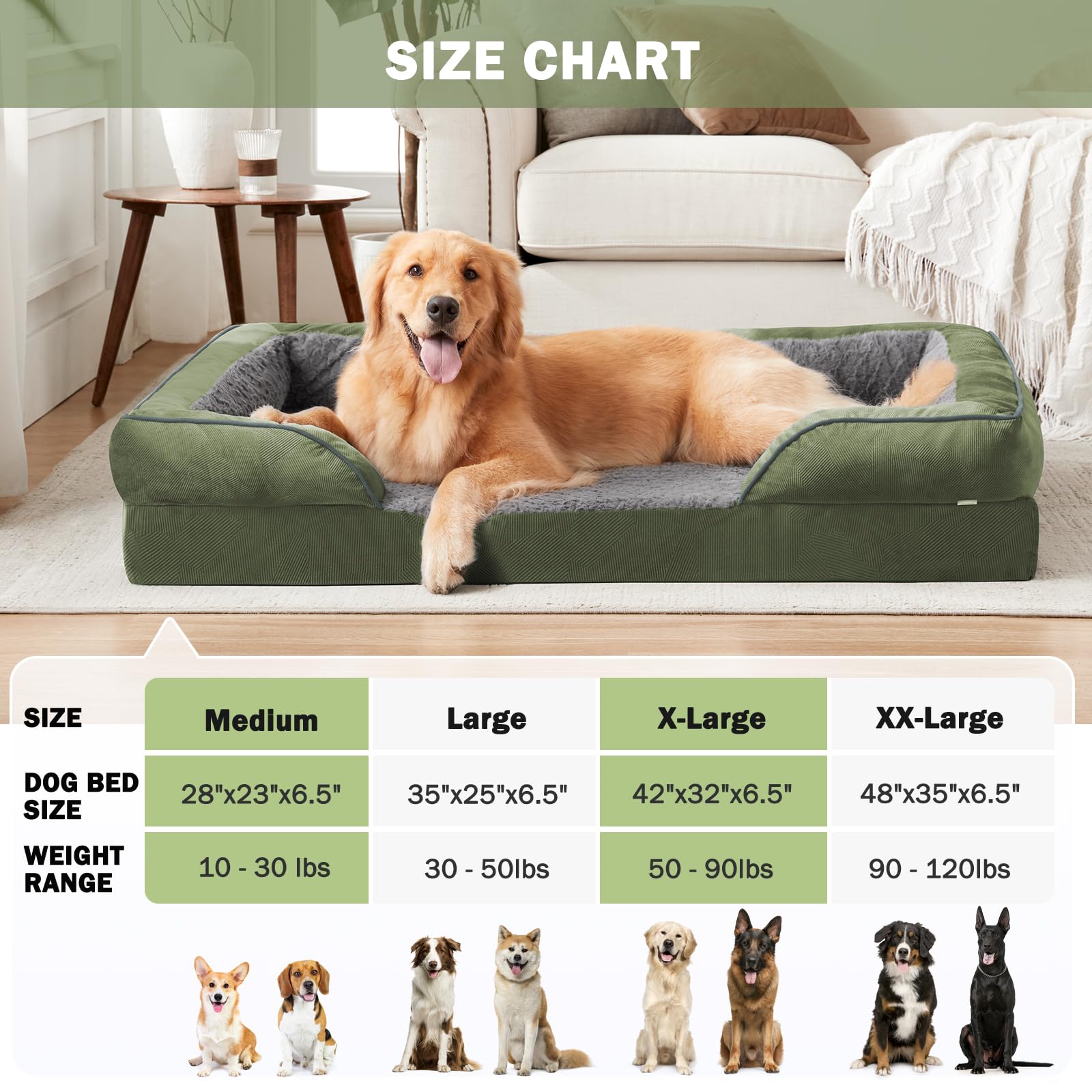 INVENHO Sofá ortopédico para perros medianos, de espuma, con funda extraíble lavable, forro impermeable y parte inferior antideslizante