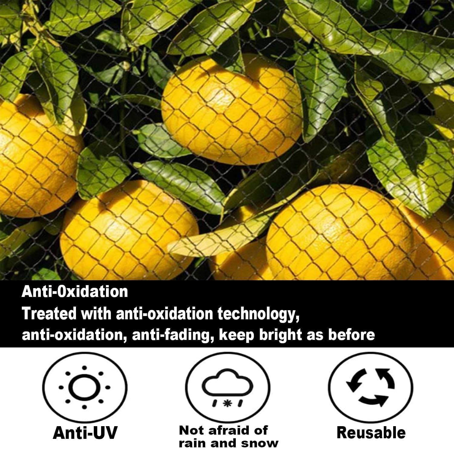 Ricofot Hail Net, 7.5 x 15 m Hail Netting for Garden Nylon Anti Pigeon Net, Reusable Anti Bird Net - Image 4