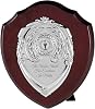 EIO Gifts Personalised Wooden Perpetual Annual Shield Award/Trophy | Customisable Sports Plaques | Football, Golf Trophies or any Special Awards | Euro Trophies Collection