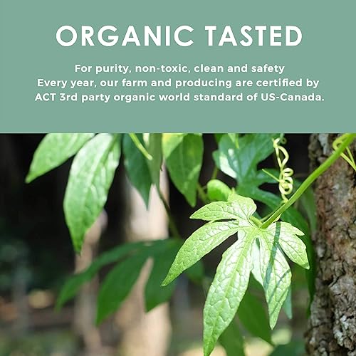 Miniatura 7 de Té orgánico de gynostemma - Té Jiaogulan 17.63 oz (más de 400 tazas) - Certificado USDA y orgánico de la UE - Hoja suelta - Sin cafeína -