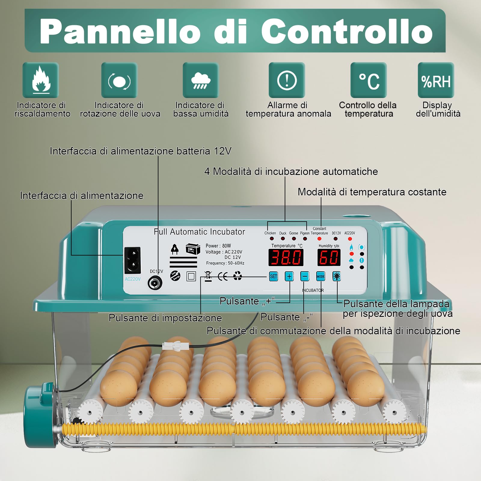CoInceptus Incubatrice per Uova Automatica, Incubatrice per 24-36 Uova con Rotazione Automatica delle Uova e Aggiunta Automatica dell'acqua, Incubatrice con 4 Modalità di Incubazione Automatiche