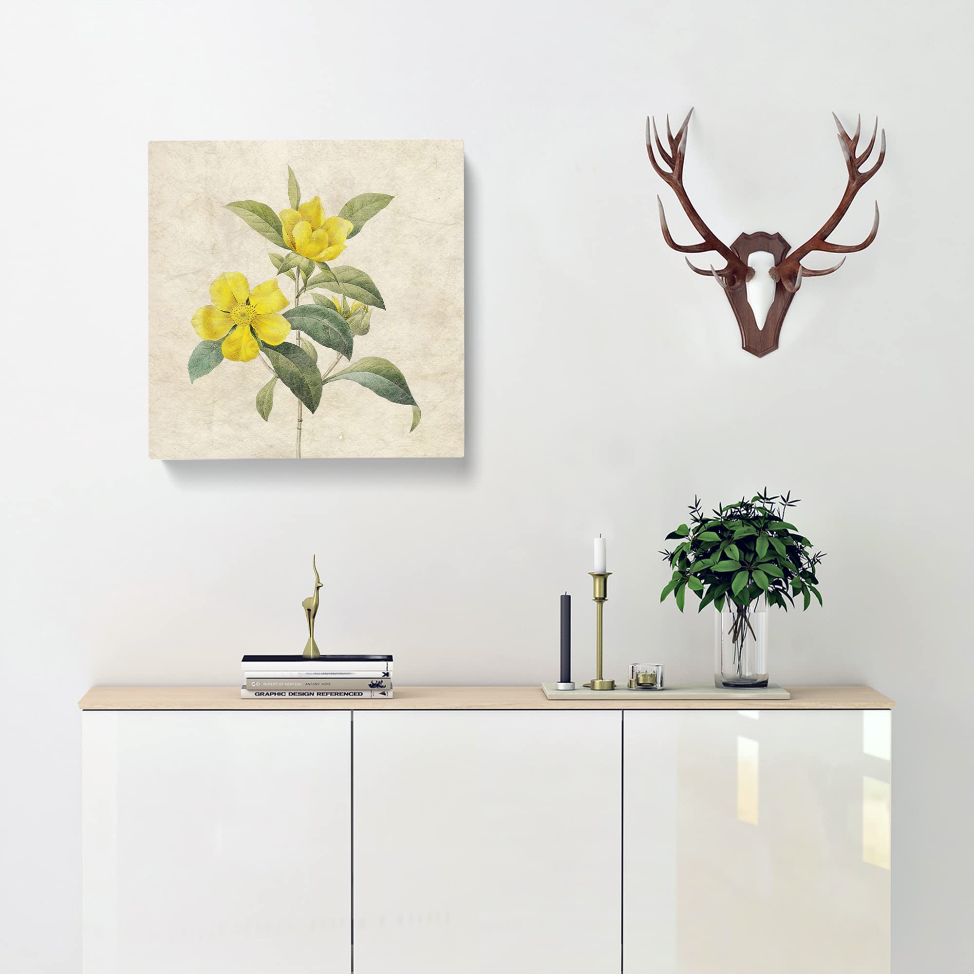Touch Me Not Flowers in Yellow by Pierre Joseph Redoute Canvas Print, Mixed, 35L x 35W cm - Image 2