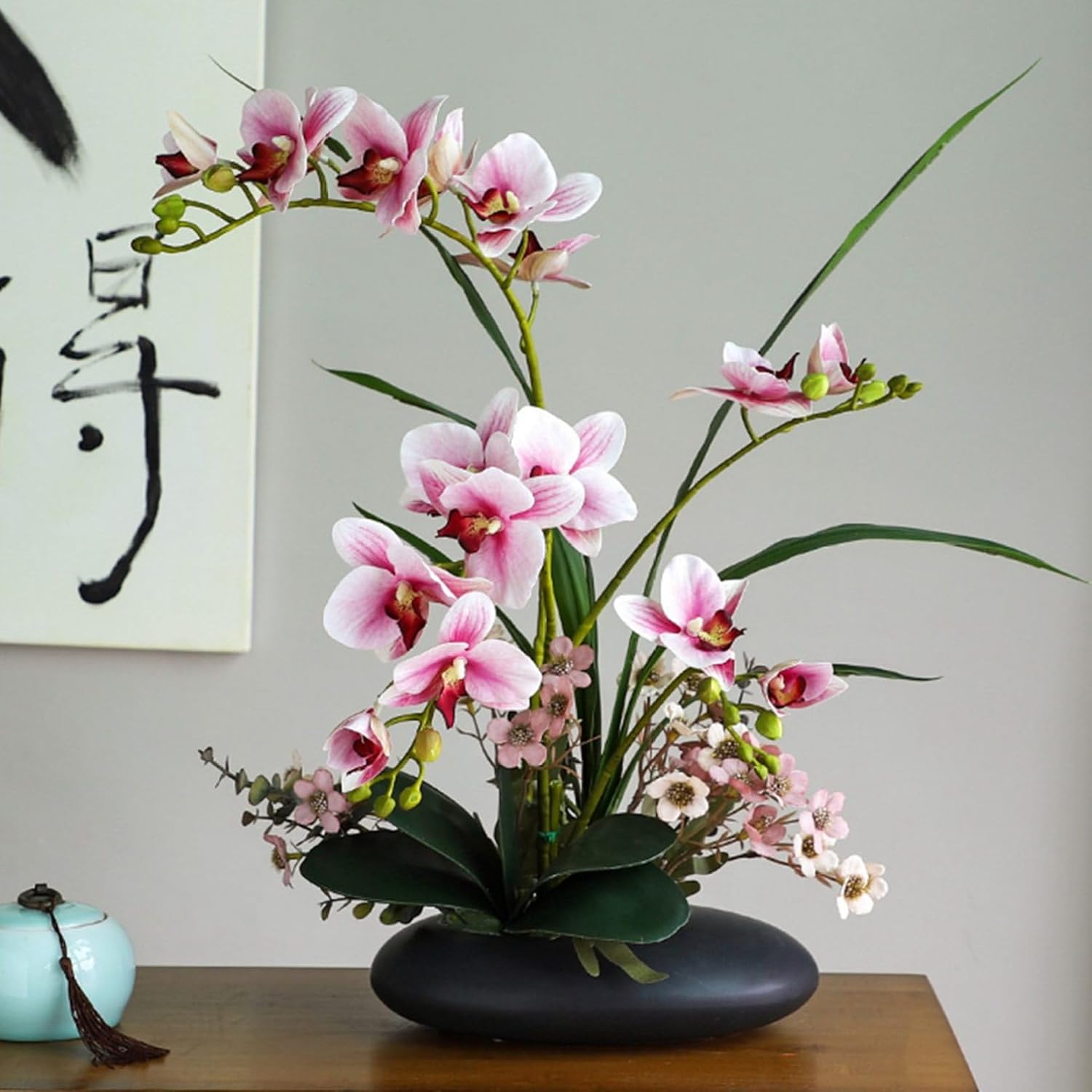 現品 エムの木 エバーフレッシュ 5番 古木 盆栽風 曲がり 特大