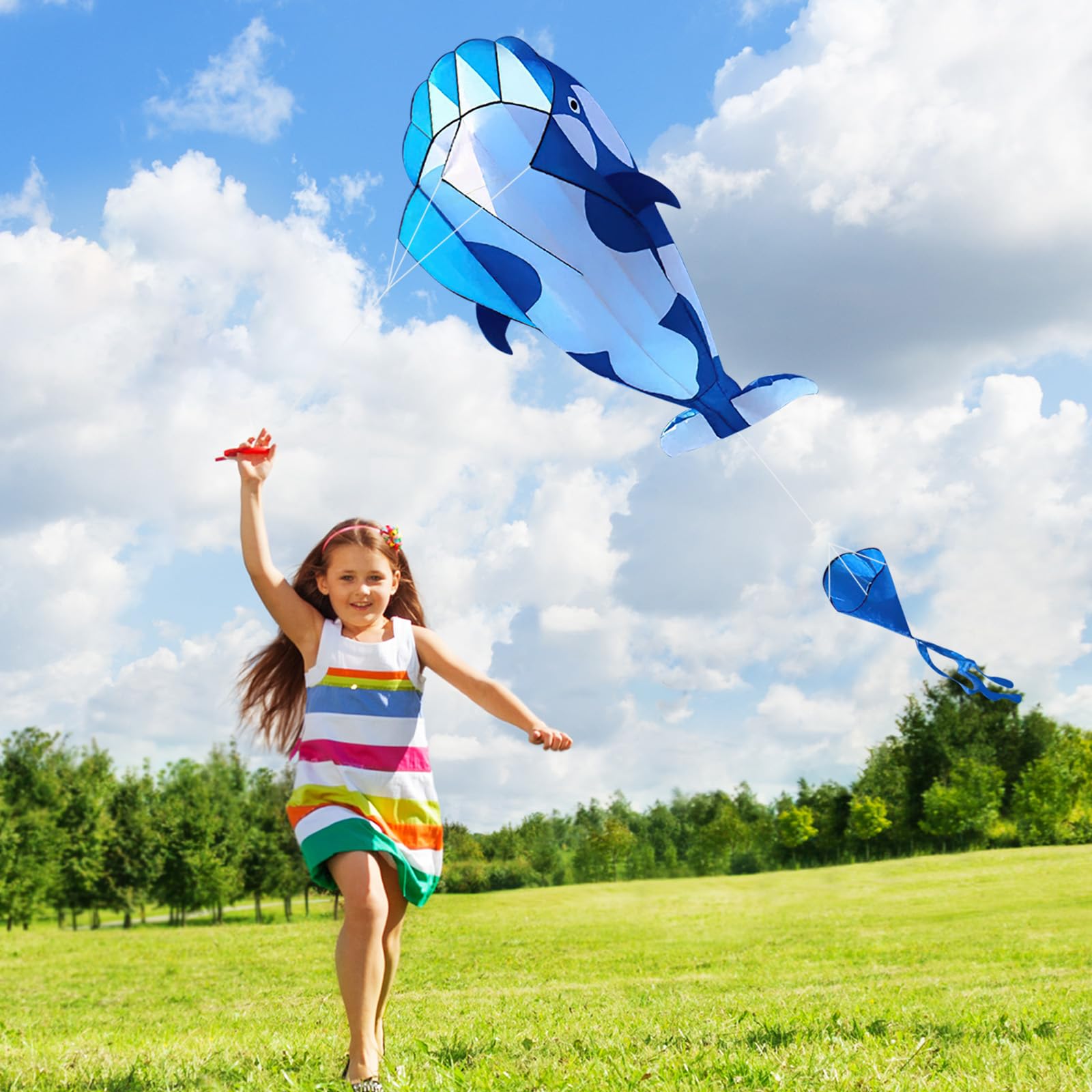 Cerf-volant 3D Dragon Kite VINGVO - Enfant - Convient pour voler en
