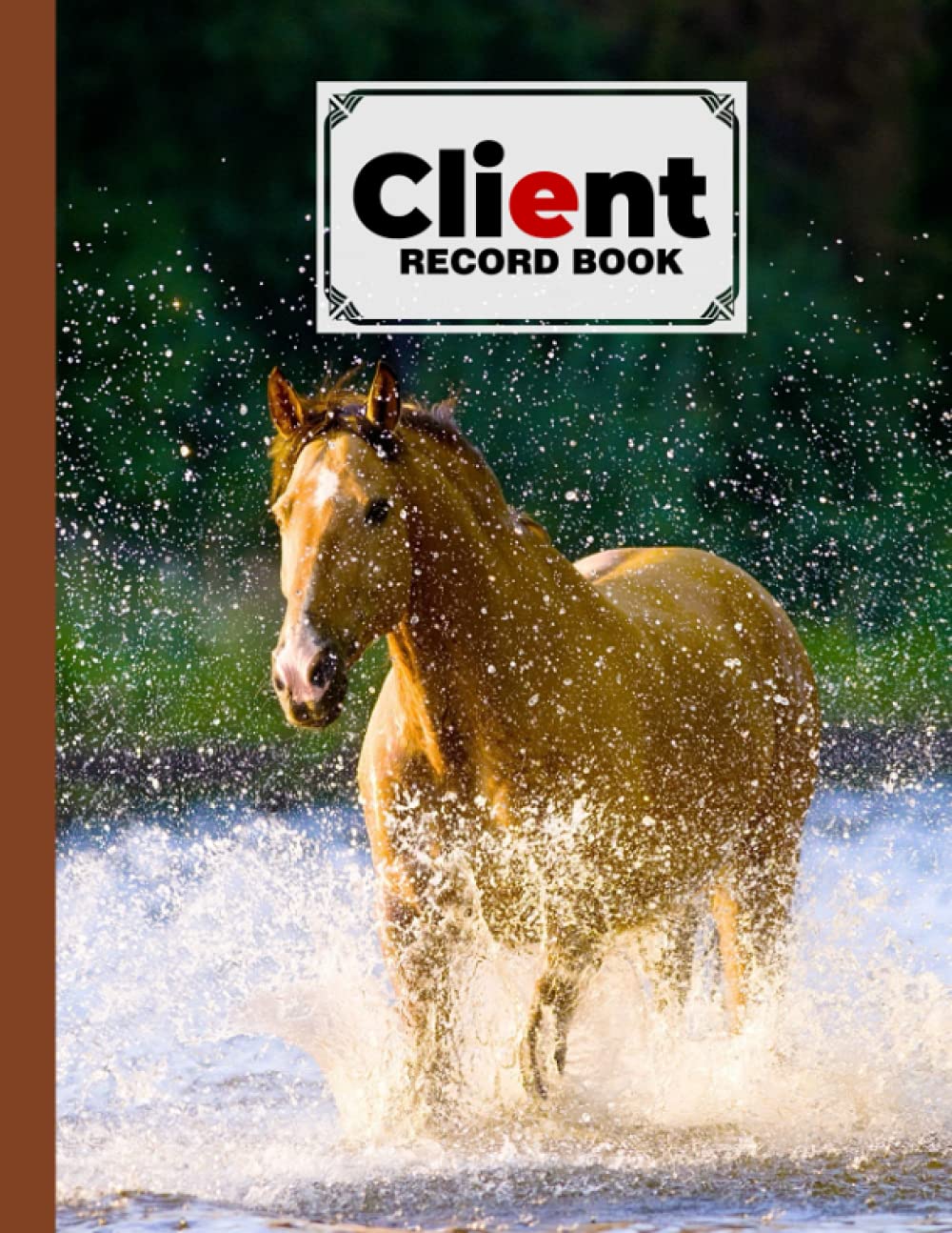 Client Record Book: Client Record Book Horse Cover, Large Size 8.5x11" 120 Pages Client Profile & ServiceLog Book, by Willi Ruf