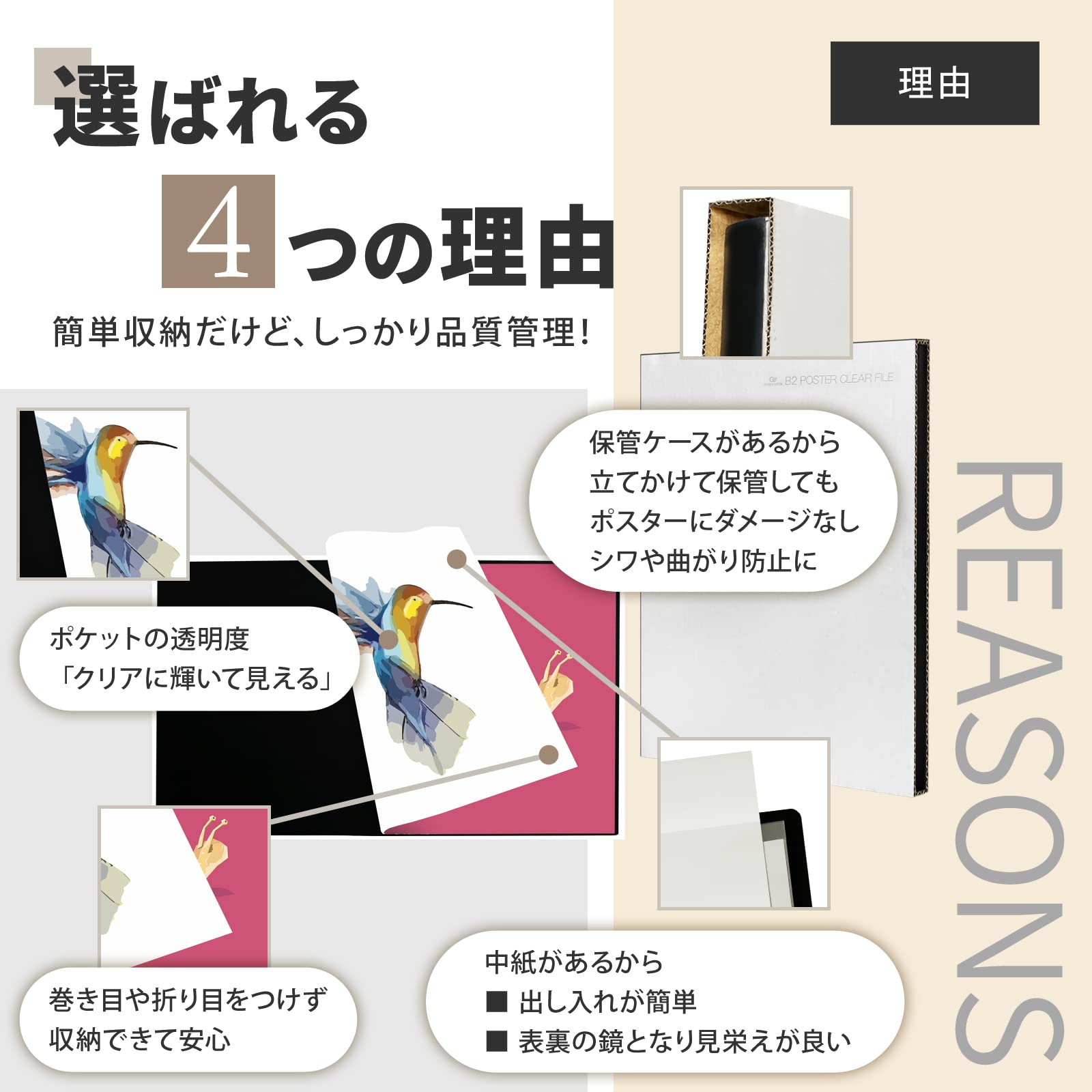 GREEN WEEK B2 ポスター ファイル 20枚セット