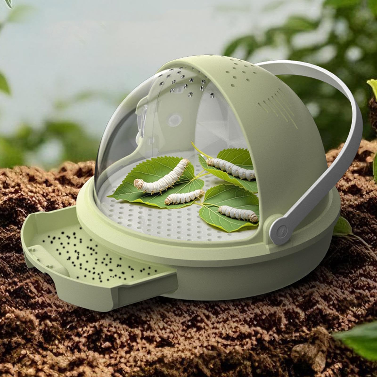 Sharplace Caja de Cría de Gusanos de Seda, Jaula de Cría Portátil Y Fácil de Monitorear para Reptiles, Comedero para Reptiles, Contenedor, Verde, Individual