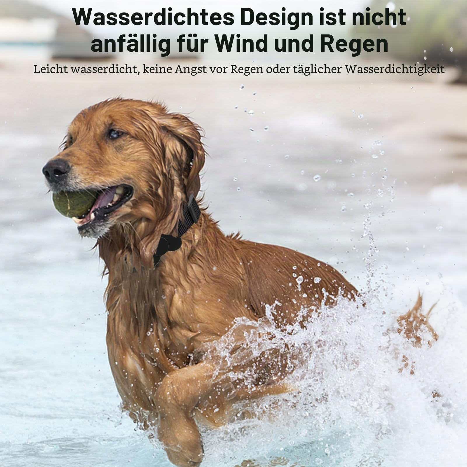 Katzen-GPS-Tracker-Halsband, keine monatliche Gebühr, GPS-Katzen-Tracker-Halsband für kleine Katzen, für Apple Find-Funktion (Gilt für iOS und Android), Katzen-Tracker