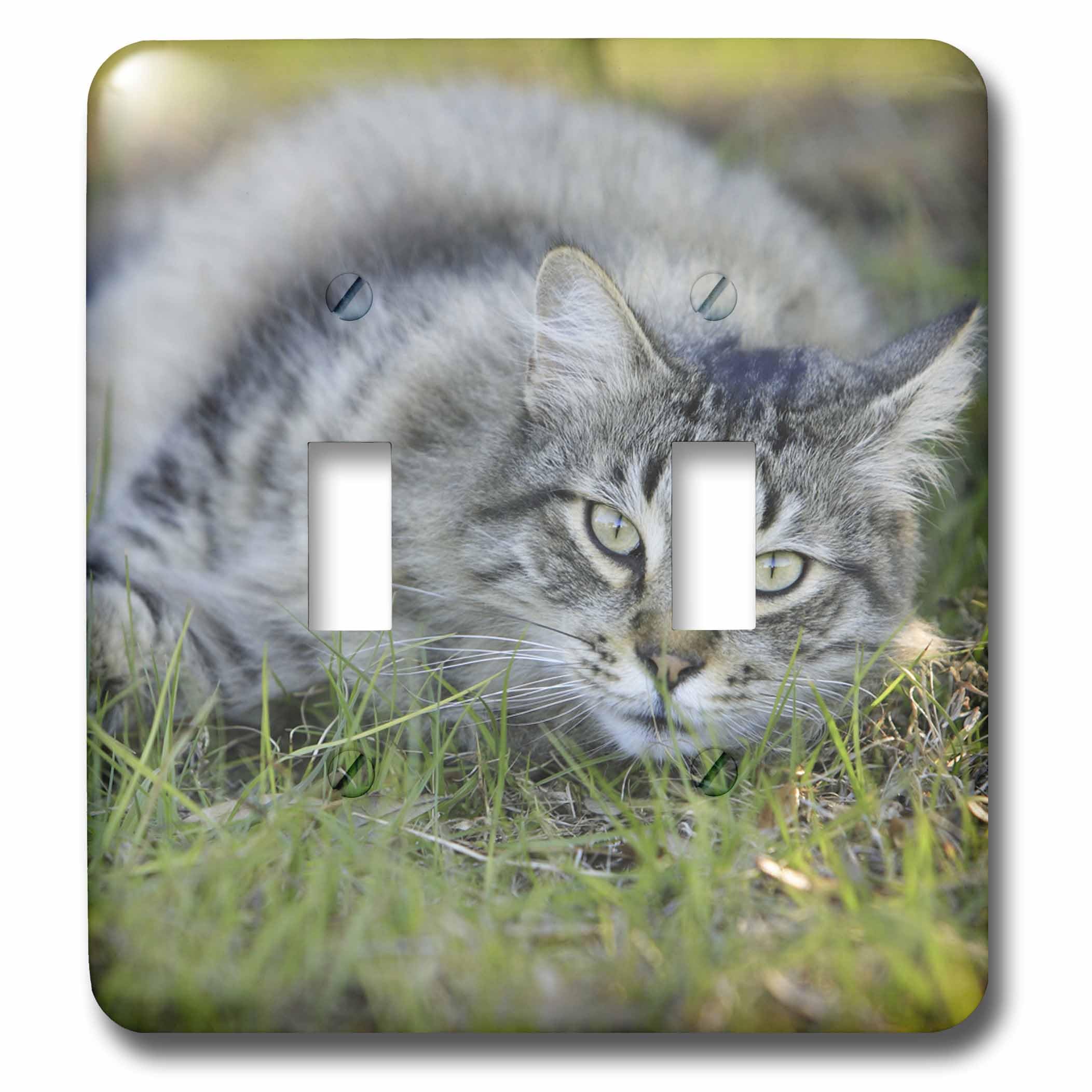 Interrupteur double Maine Coon 3dRose lsp_89227_2 plaque de décoration pour interrupteur