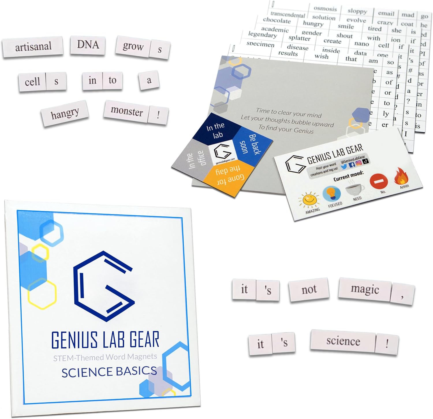 Science Word Magnets Kit: Funny Nerdy Poetry Set for College PhD Scientists