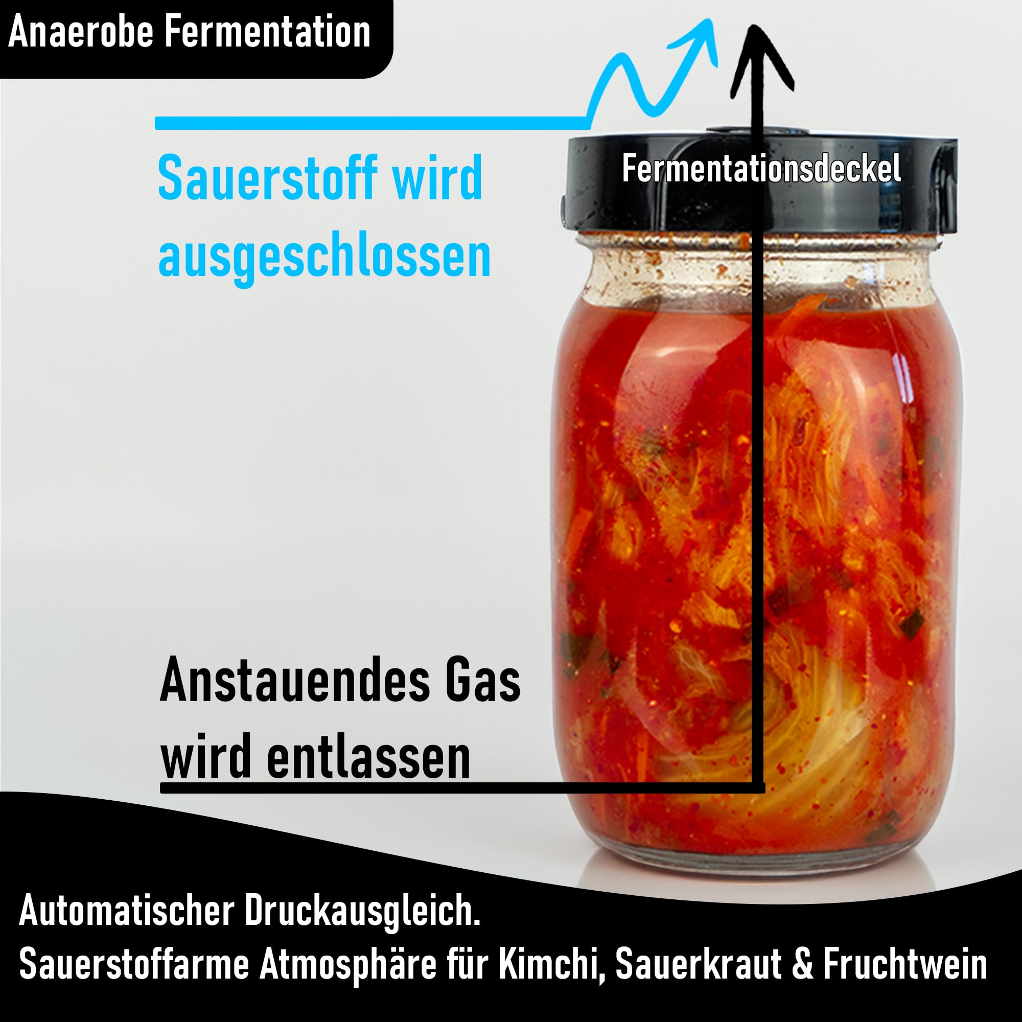 Fermentationskit Basic (1L Wide Mouth) – Gärset für Sauerkraut & Kimchi – Fermentierglas mit Gärspund-Deckel & Glasgewicht – Das Einstiegs-Set