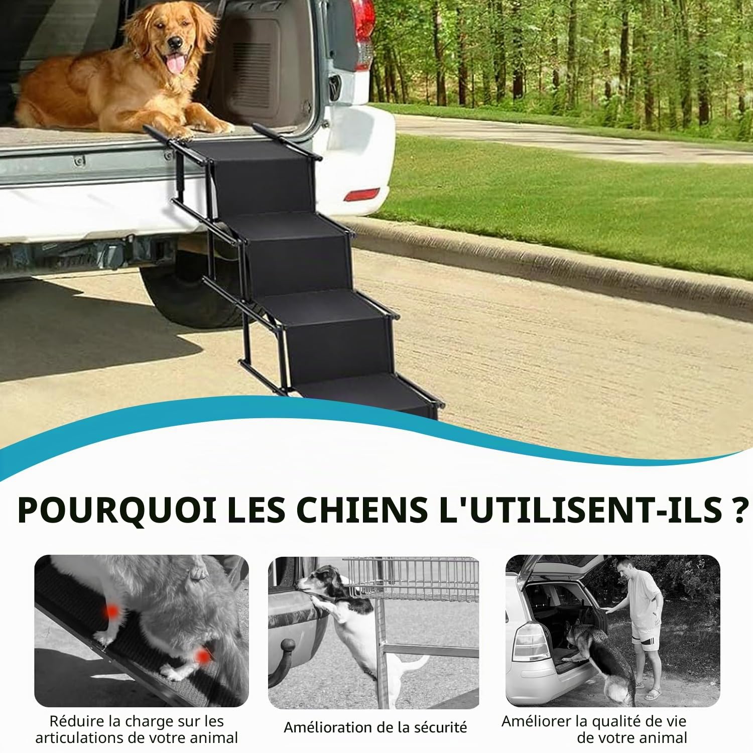 Rampe Chien Voiture, Escalier pour Chien 4 Marches avec Boucle Antidérapante, Escalier pour Chiens Voiture Pliable - Harge Maximale 80 kg, Utilisable dans Tous Les Véhicules