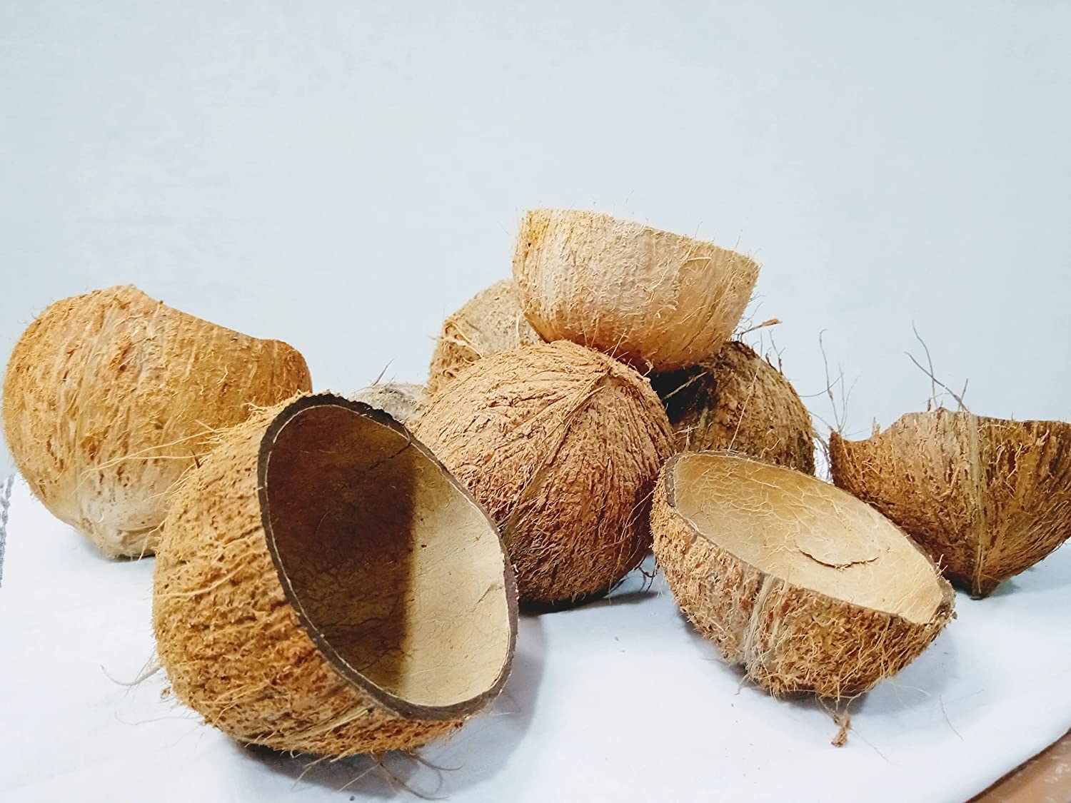 Natural Kerala Coconut Raw Shell | Making Charcoal | Outdoor Cooking and Barbecue | Art Piece | Unpolished Pack of 1 KG (B0BS1H5QNX) Amazon Price History, Amazon Price Tracker