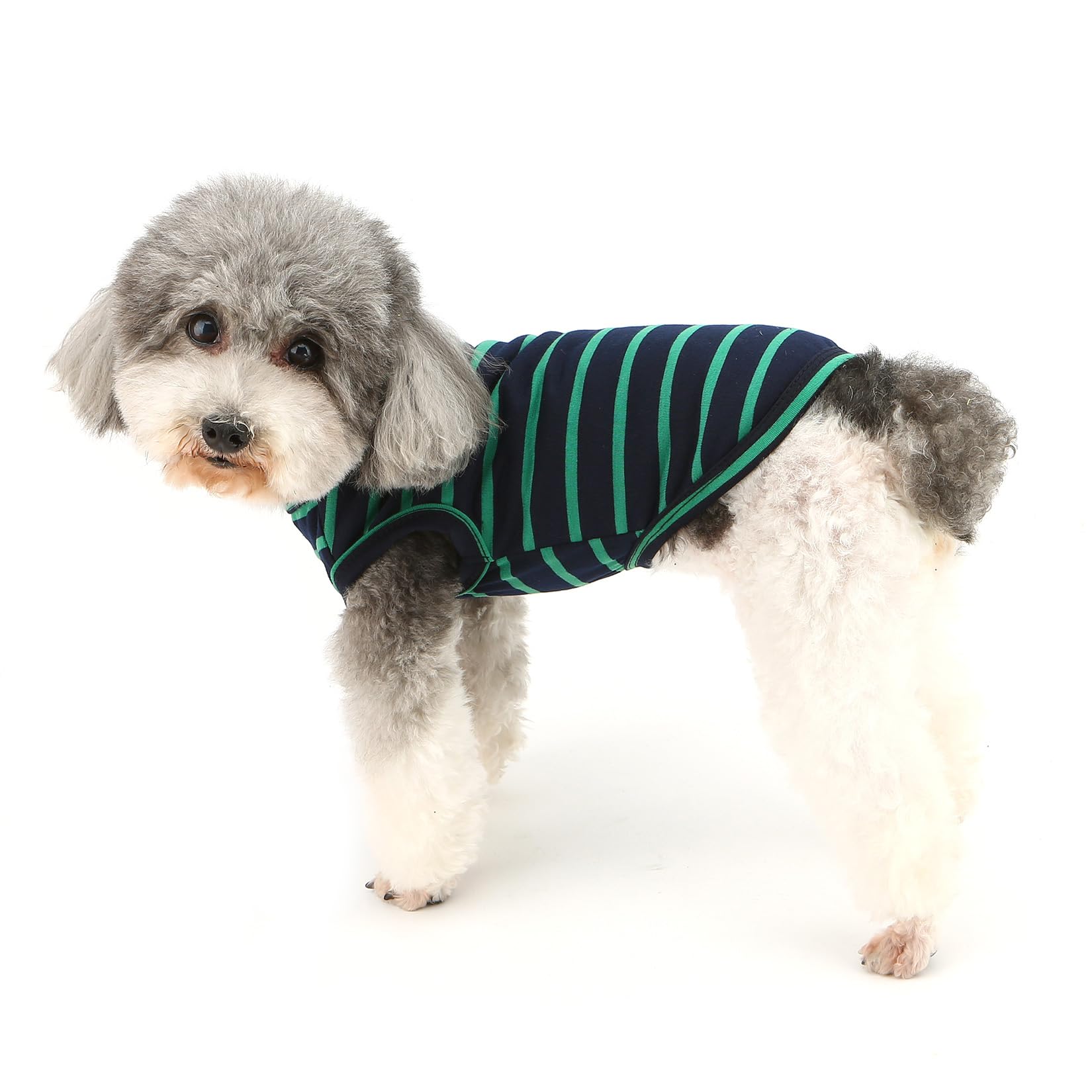 Maglietta Cane Piccoli Senza Maniche, Blu, Taglia XL