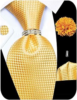 5PCS Mens Silk Tie, Pocket Square, Cufflinks, Drilled Tie Ring and Lapel Pin Set for Wedding Groom Party