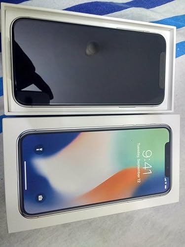 Apple iPhone X