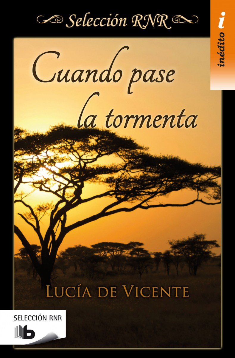Cuando Pase La Tormenta (Ficción)