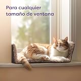 Ver la foto 5
